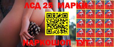 альфа пвп Аргун