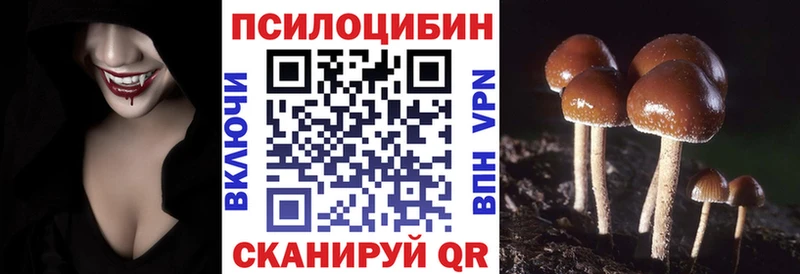 Псилоцибиновые грибы Psilocybine cubensis  Ленинск-Кузнецкий 