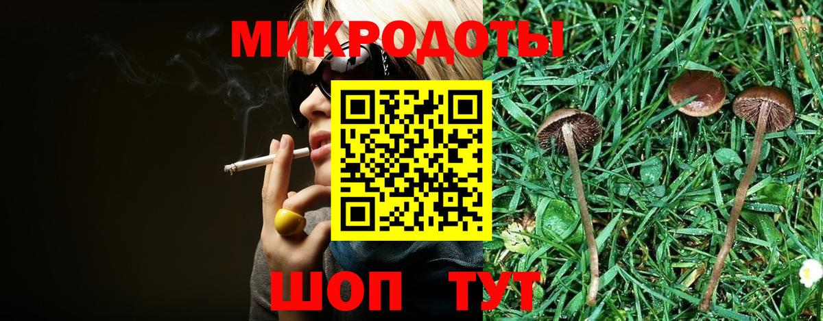 Псилоцибиновые грибы прущие грибы Ленинск-Кузнецкий
