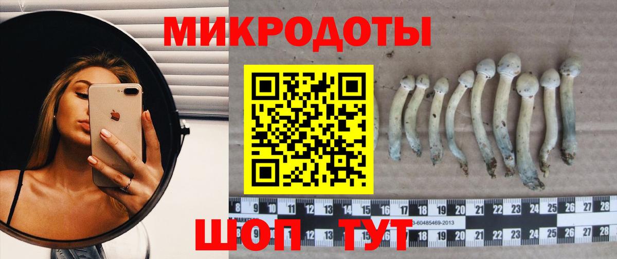 Псилоцибиновые грибы Psilocybe  Вход с VPN  Галлюциногенные грибы мухоморы  купить закладку  Ленинск-Кузнецкий 