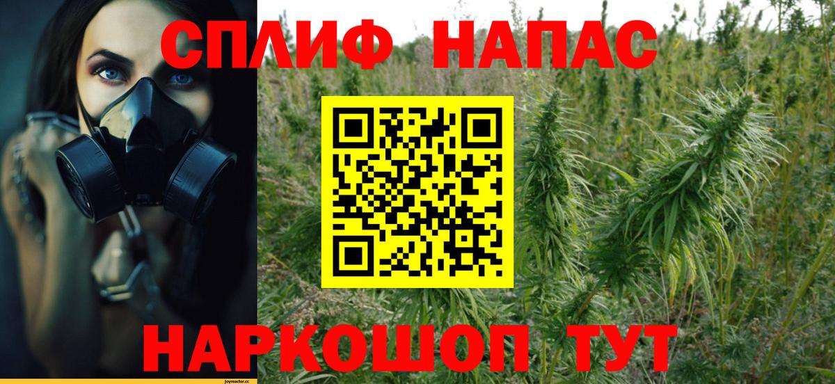 Конопля тримм  Вход с VPN  Ленинск-Кузнецкий  Конопля Amnesia  Бошки марихуана марихуана 